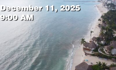 Daily Sargassum Sargasso Seaweed Report at Playa del Carmen, Mexico December 11, 2025
