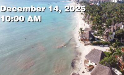 Daily Sargassum Sargasso Seaweed Report at Playa del Carmen, Mexico December 14, 2025