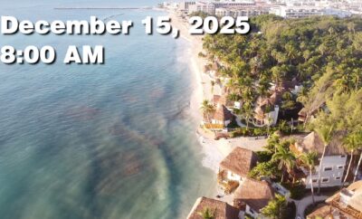 Daily Sargassum Sargasso Seaweed Report at Playa del Carmen, Mexico December 15, 2025