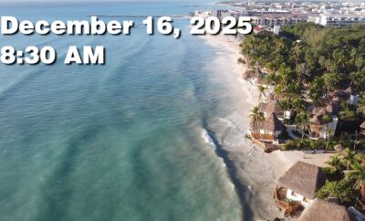 Daily Sargassum Sargasso Seaweed Report at Playa del Carmen, Mexico December 16, 2025