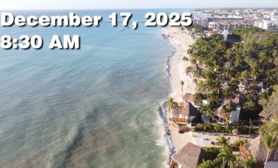 Daily Sargassum Sargasso Seaweed Report at Playa del Carmen, Mexico December 17, 2025