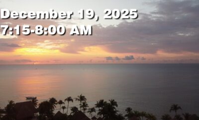 Daily Sargassum Sargasso Seaweed Report at Playa del Carmen, Mexico December 19, 2025