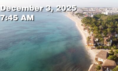 Daily Sargassum Sargasso Seaweed Report at Playa del Carmen, Mexico December 3, 2025