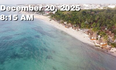Daily Sargassum Sargasso Seaweed Report at Playa del Carmen, Mexico December 20, 2025