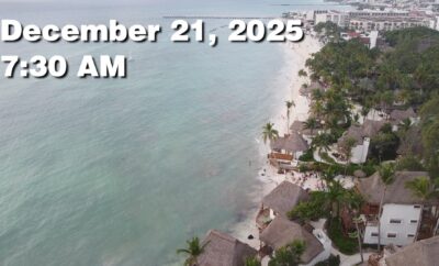 Daily Sargassum Sargasso Seaweed Report at Playa del Carmen, Mexico December 21, 2025