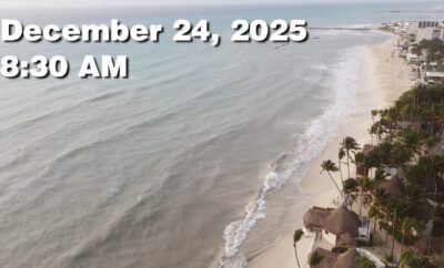 Daily Sargassum Sargasso Seaweed Report at Playa del Carmen, Mexico December 24, 2025