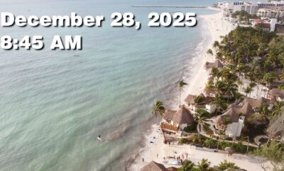 Daily Sargassum Sargasso Seaweed Report at Playa del Carmen, Mexico December 28, 2025