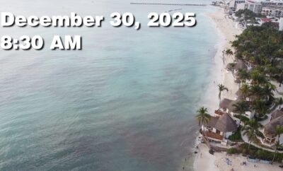 Daily Sargassum Sargasso Seaweed Report at Playa del Carmen, Mexico December 30, 2025