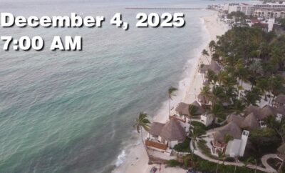 Daily Sargassum Sargasso Seaweed Report at Playa del Carmen, Mexico December 4, 2025