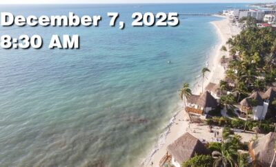 Daily Sargassum Sargasso Seaweed Report at Playa del Carmen, Mexico December 7, 2025