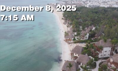 Daily Sargassum Sargasso Seaweed Report at Playa del Carmen, Mexico December 8, 2025