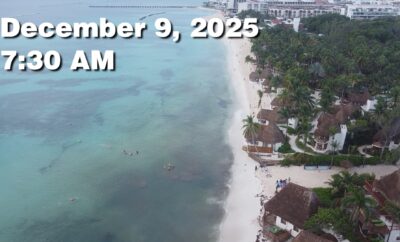 Daily Sargassum Sargasso Seaweed Report at Playa del Carmen, Mexico December 9, 2025