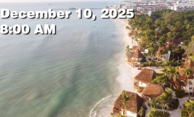 Daily Sargassum Sargasso Seaweed Report at Playa del Carmen, Mexico December 10, 2025