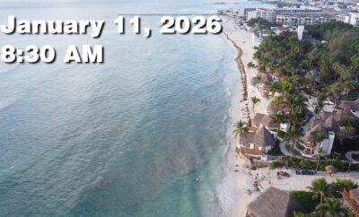 Daily Sargassum Sargasso Seaweed Report at Playa del Carmen, Mexico January 11, 2026