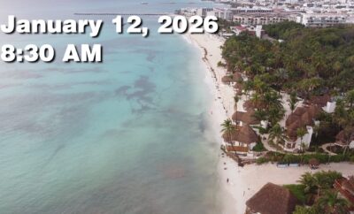 Daily Sargassum Sargasso Seaweed Report at Playa del Carmen, Mexico January 12, 2026