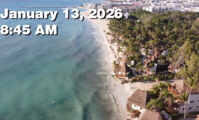 Daily Sargassum Sargasso Seaweed Report at Playa del Carmen, Mexico January 13, 2026
