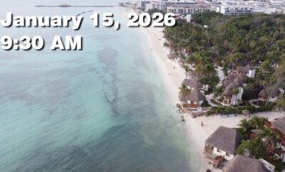 Daily Sargassum Sargasso Seaweed Report at Playa del Carmen, Mexico January 15, 2026