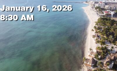 Daily Sargassum Sargasso Seaweed Report at Playa del Carmen, Mexico January 16, 2026