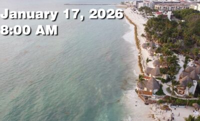 Daily Sargassum Sargasso Seaweed Report at Playa del Carmen, Mexico January 17, 2026