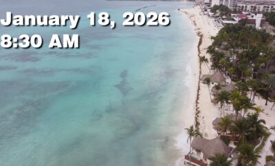 Daily Sargassum Sargasso Seaweed Report at Playa del Carmen, Mexico January 18, 2026