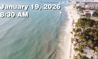 Daily Sargassum Sargasso Seaweed Report at Playa del Carmen, Mexico January 19, 2026
