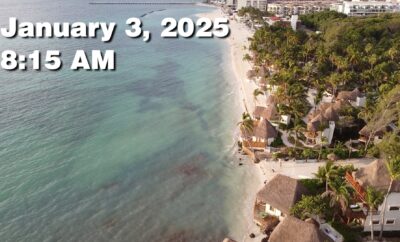 Daily Sargassum Sargasso Seaweed Report at Playa del Carmen, Mexico January 3, 2026