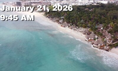 Daily Sargassum Sargasso Seaweed Report at Playa del Carmen, Mexico January 21, 2026