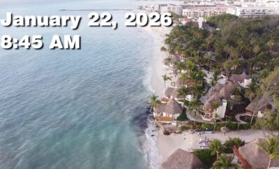 Daily Sargassum Sargasso Seaweed Report at Playa del Carmen, Mexico January 22, 2026