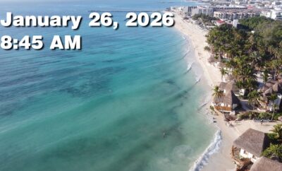 Daily Sargassum Sargasso Seaweed Report at Playa del Carmen, Mexico January 26, 2026