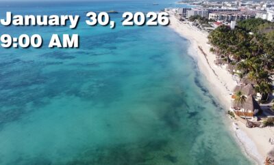 Daily Sargassum Sargasso Seaweed Report at Playa del Carmen, Mexico January 30, 2026