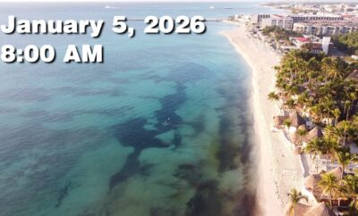 Daily Sargassum Sargasso Seaweed Report at Playa del Carmen, Mexico January 5, 2026