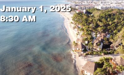 Daily Sargassum Sargasso Seaweed Report at Playa del Carmen, Mexico January 1, 2026
