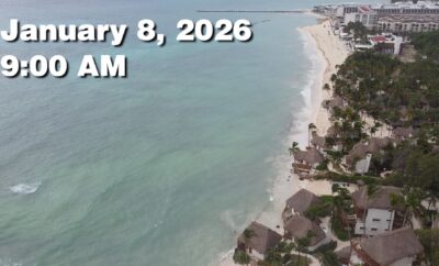 Daily Sargassum Sargasso Seaweed Report at Playa del Carmen, Mexico January 8, 2026