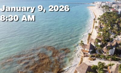 Daily Sargassum Sargasso Seaweed Report at Playa del Carmen, Mexico January 9, 2026