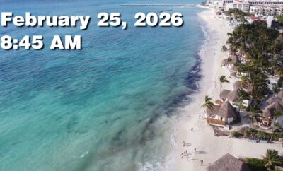 Daily Sargassum Sargasso Seaweed Report at Playa del Carmen, Mexico February 25, 2026