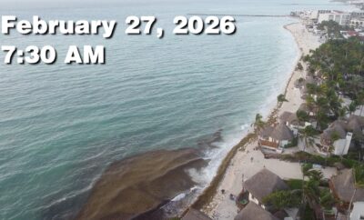 Daily Sargassum Sargasso Seaweed Report at Playa del Carmen, Mexico February 27, 2026