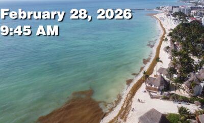 Daily Sargassum Sargasso Seaweed Report at Playa del Carmen, Mexico February 28, 2026