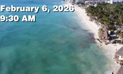 Daily Sargassum Sargasso Seaweed Report at Playa del Carmen, Mexico February 6, 2026