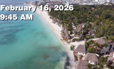 Daily Sargassum Sargasso Seaweed Report at Playa del Carmen, Mexico February 16, 2026