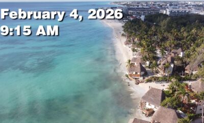 Daily Sargassum Sargasso Seaweed Report at Playa del Carmen, Mexico February 4, 2026