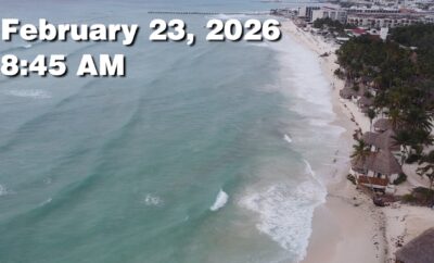 Daily Sargassum Sargasso Seaweed Report at Playa del Carmen, Mexico February 23, 2026