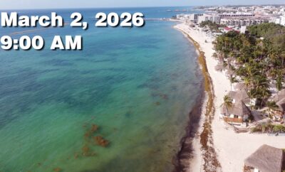 Daily Sargassum Sargasso Seaweed Report at Playa del Carmen, Mexico March 2, 2026