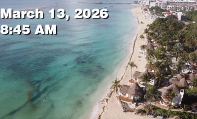 Daily Sargassum Sargasso Seaweed Report at Playa del Carmen, Mexico March 13, 2026