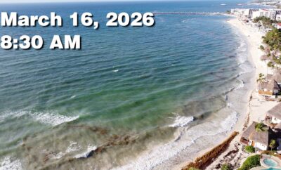 Daily Sargassum Sargasso Seaweed Report at Playa del Carmen, Mexico March 16, 2026