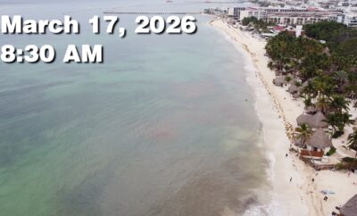 Daily Sargassum Sargasso Seaweed Report at Playa del Carmen, Mexico March 17, 2026