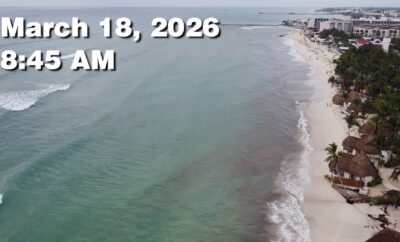 Daily Sargassum Sargasso Seaweed Report at Playa del Carmen, Mexico March 18, 2026