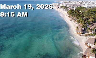 Daily Sargassum Sargasso Seaweed Report at Playa del Carmen, Mexico March 19, 2026