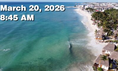 Daily Sargassum Sargasso Seaweed Report at Playa del Carmen, Mexico March 20, 2026