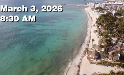 Daily Sargassum Sargasso Seaweed Report at Playa del Carmen, Mexico March 3, 2026