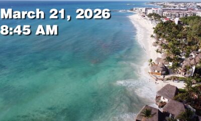 Daily Sargassum Sargasso Seaweed Report at Playa del Carmen, Mexico March 21, 2026